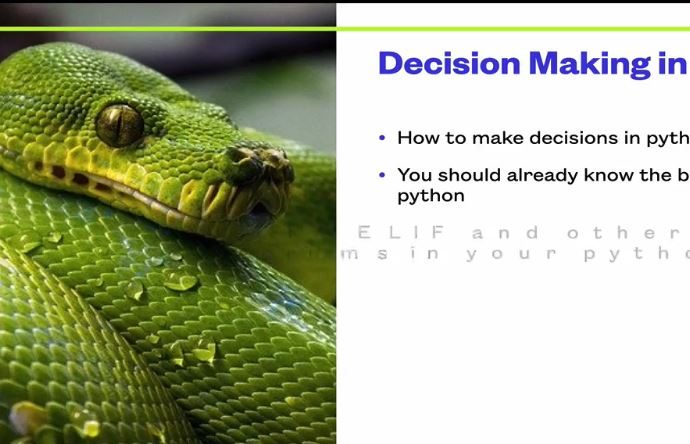 Decision Making In Python & Data Science