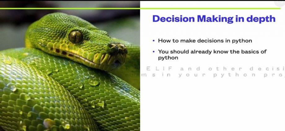 Decision Making In Python & Data Science