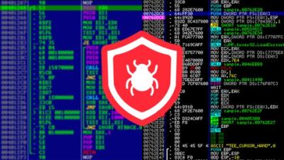 Reverse Engineering, Debugging and Malware Analysis - 2021