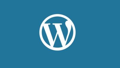 Build Create 2 Advance WordPress Ecommerce Websites 2021