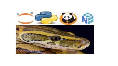 Python Bootcamp for Data Science 2021 Numpy Pandas & Seaborn