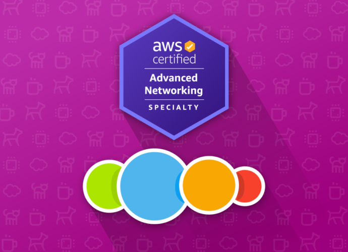 AWS Certified Advanced Networking