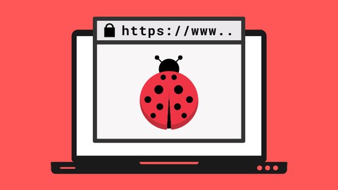 Learn Bug Bounty Hunting & Web Security Testing From Scratch