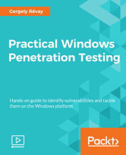 Practical Windows Penetration Testing