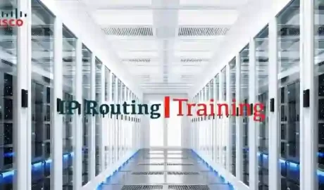 IP Routing Training