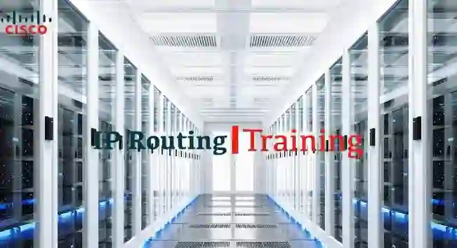 IP Routing Training