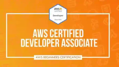 Ultimate AWS Certified Developer Associate 2024 NEW DVA-C02