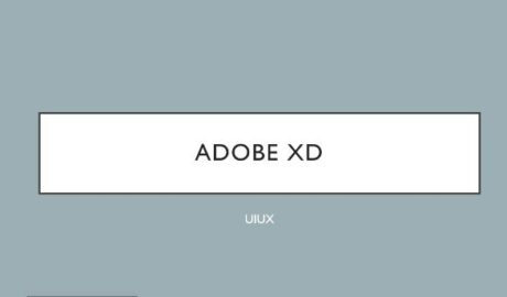 Ui-Ux Design Masterclass With Adobe XdFrom Beginner To Pro